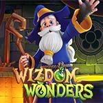 Wizdom Wonders
